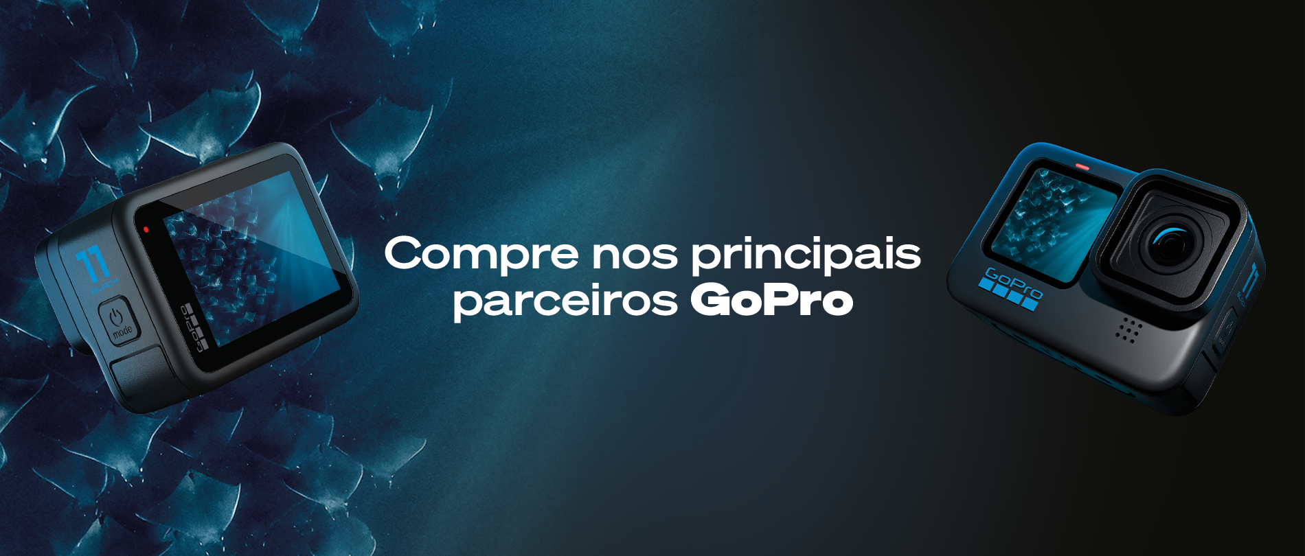 header parceiros
